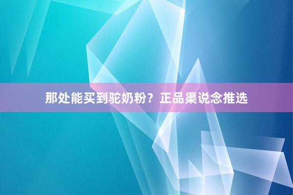 那处能买到驼奶粉？正品渠说念推选