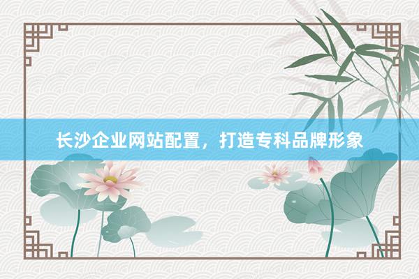 长沙企业网站配置，打造专科品牌形象